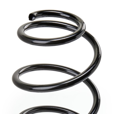 Suspension Spring RIDEX 188C0589 188C0589 - photo 5