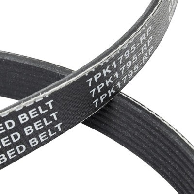 Drive Belt Kit RIDEX 542R0055P 542R0055P - photo 8