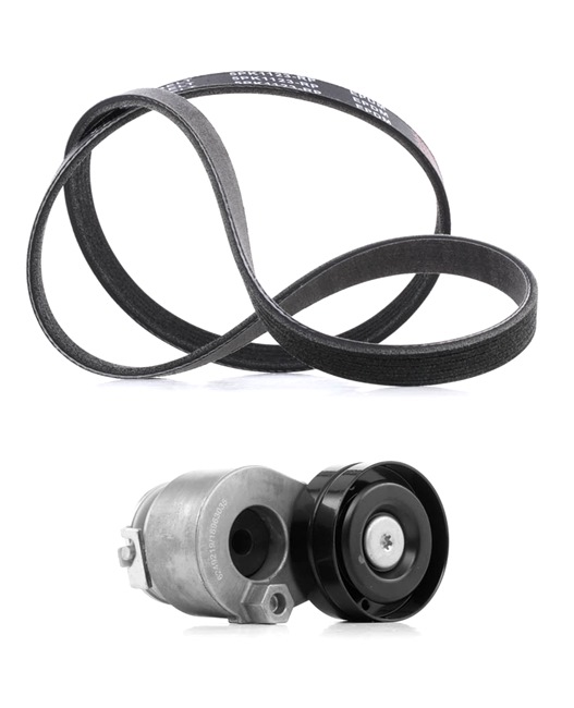 Drive Belt Kit RIDEX 542R0179P 542R0179P - photo 1
