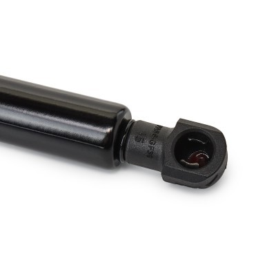 Bonnet  Gas Spring RIDEX 514G0102 514G0102 - photo 6