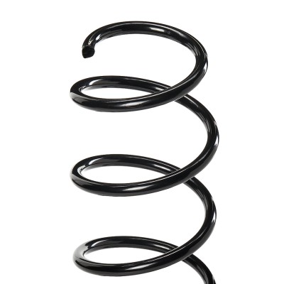 Suspension Spring RIDEX 188C0316 188C0316 - photo 4