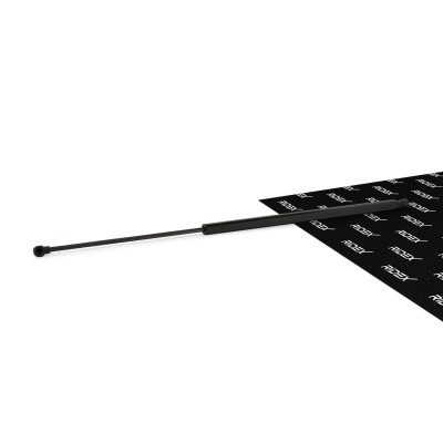 Bonnet  Gas Spring RIDEX 514G0102 514G0102 - photo 1