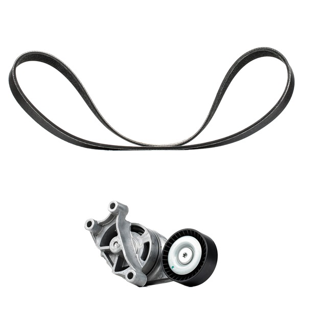 Drive Belt Kit RIDEX 542R0211P 542R0211P - photo 1