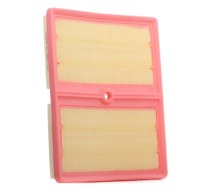Air Filter RIDEX 8A0794 8A0794 - photo 1
