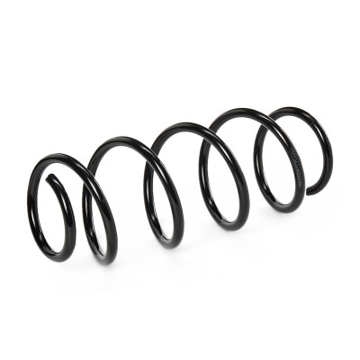 Suspension Spring RIDEX 188C0316 188C0316 - photo 3