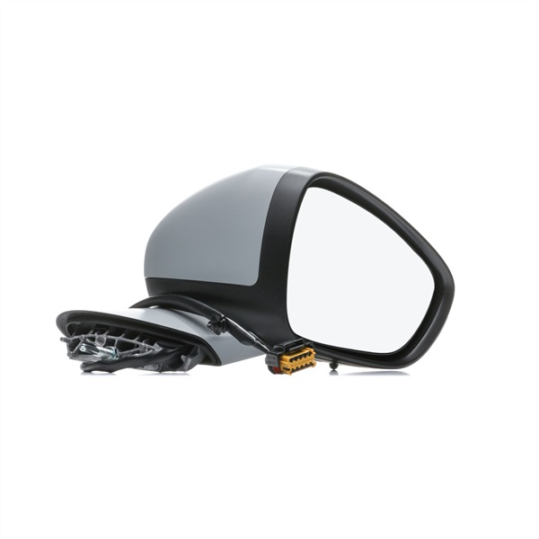 Wing Mirror RIDEX 50O0801 50O0801 - photo 1