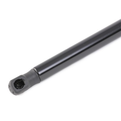 Bonnet  Gas Spring RIDEX 514G0119 514G0119 - photo 3