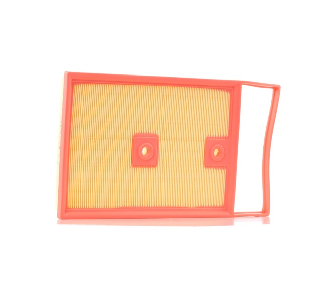 Air Filter RIDEX 8A0641 8A0641 - photo 1