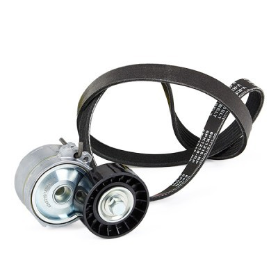 Drive Belt Kit RIDEX 542R0189P 542R0189P - photo 3