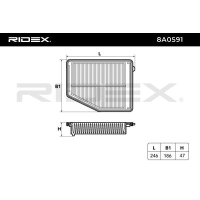Air Filter RIDEX 8A0591 8A0591 - photo 6
