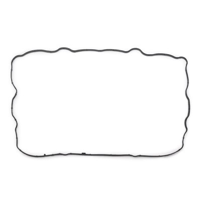 Cylinder Head Cover Gasket RIDEX 321G0017 321G0017 - photo 4