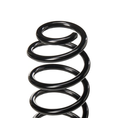 Suspension Spring RIDEX 188C0343 188C0343 - photo 5