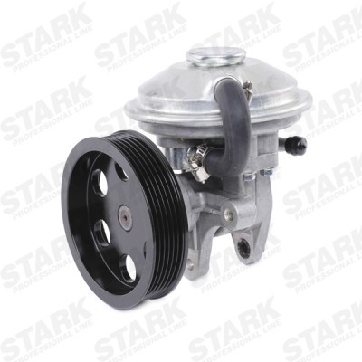 Vacuum Pump Stark SKVP-1350019 SKVP-1350019 - photo 3