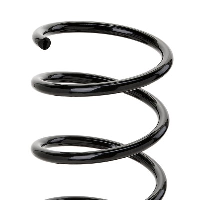 Suspension Spring RIDEX 188C0352 188C0352 - photo 6