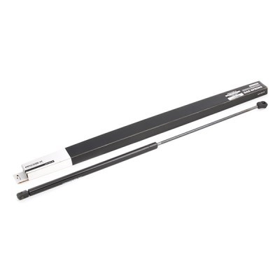 Bonnet  Gas Spring RIDEX 514G0037 514G0037 - photo 2