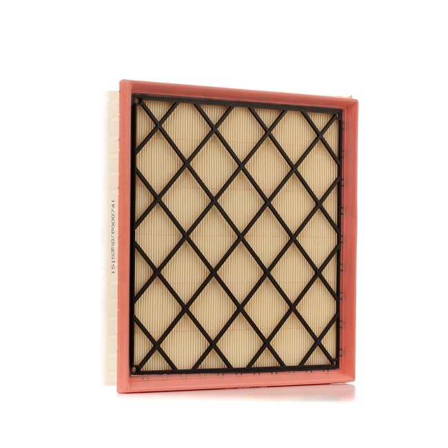 Air Filter RIDEX 8A0171 8A0171 - photo 1