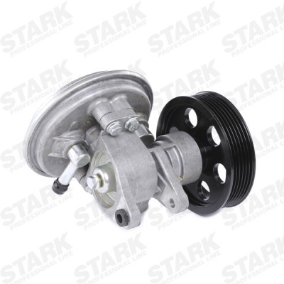 Vacuum Pump Stark SKVP-1350019 SKVP-1350019 - photo 4