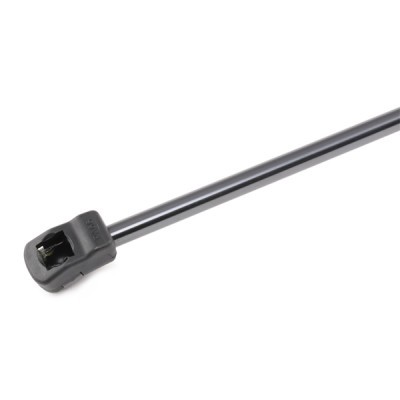 Bonnet  Gas Spring RIDEX 514G0118 514G0118 - photo 4