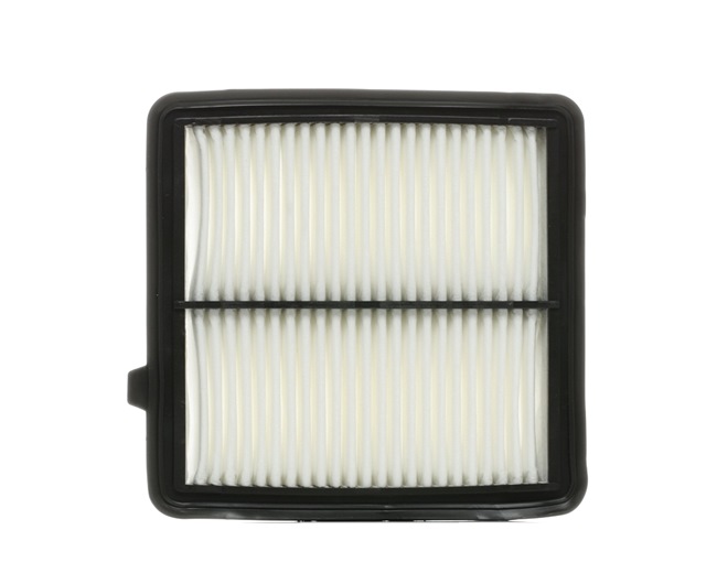 Air Filter RIDEX 8A0289 8A0289 - photo 1