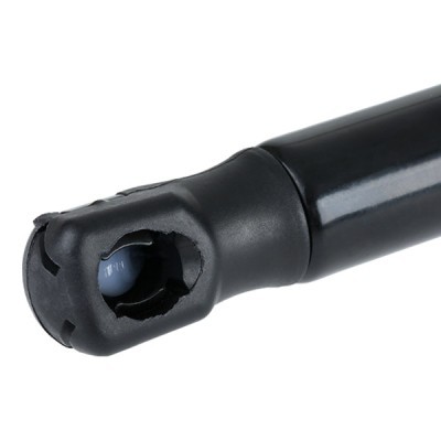 Bonnet  Gas Spring RIDEX 514G0156 514G0156 - photo 5