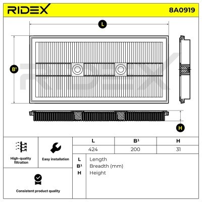 Air Filter RIDEX 8A0919 8A0919 - photo 6