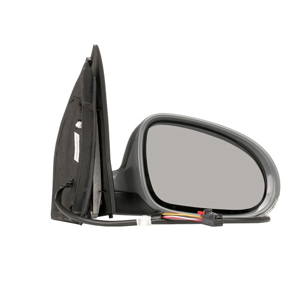 Wing Mirror RIDEX 50O0169 50O0169 - photo 1