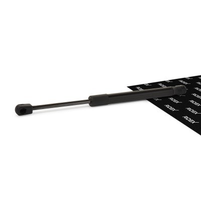 Bonnet  Gas Spring RIDEX 514G0103 514G0103 - photo 1