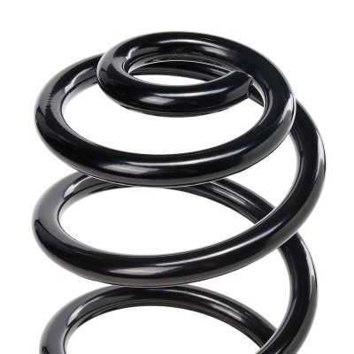 Suspension Spring RIDEX 188C0396 188C0396 - photo 8