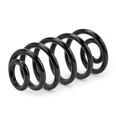 Suspension Spring RIDEX 188C0210 188C0210 - photo 7