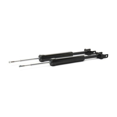 Shock Absorber RIDEX 854S19307P 854S19307P - photo 3