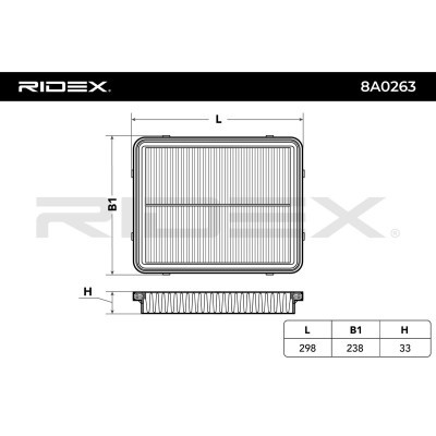 Air Filter RIDEX 8A0263 8A0263 - photo 6