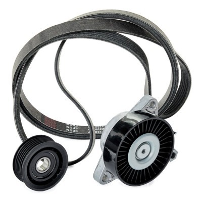 Drive Belt Kit RIDEX 542R0498P 542R0498P - photo 3