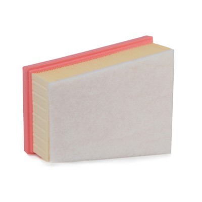 Air Filter RIDEX 8A0251 8A0251 - photo 4