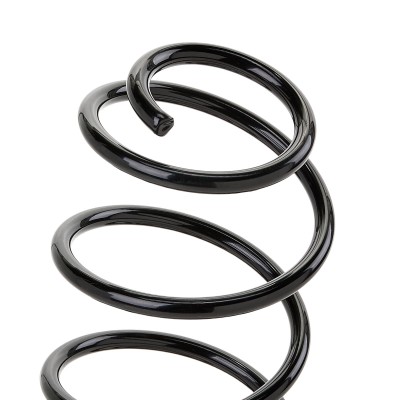 Suspension Spring RIDEX 188C0252 188C0252 - photo 5