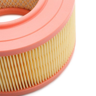 Air Filter RIDEX 8A0542 8A0542 - photo 5