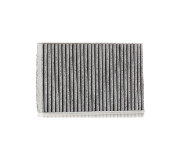 Cabin Air Filter RIDEX 424I0421 424I0421 - photo 1
