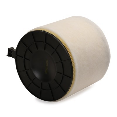Air Filter RIDEX 8A0812 8A0812 - photo 4