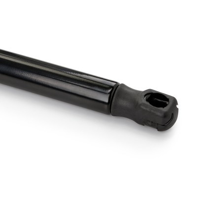 Bonnet  Gas Spring RIDEX 514G0100 514G0100 - photo 6