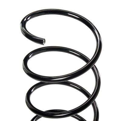 Suspension Spring RIDEX 188C0270 188C0270 - photo 4