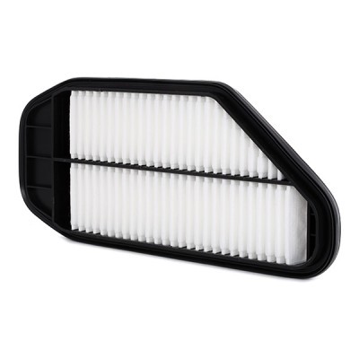 Air Filter RIDEX 8A0295 8A0295 - photo 3