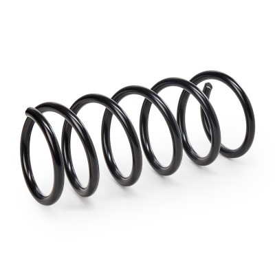 Suspension Spring RIDEX 188C0551 188C0551 - photo 7