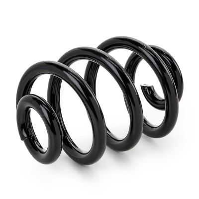 Suspension Spring RIDEX 188C0003 188C0003 - photo 4