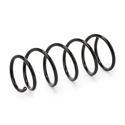 Suspension Spring RIDEX 188C0420 188C0420 - photo 4