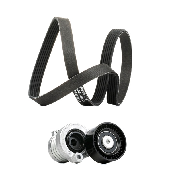 Drive Belt Kit RIDEX 542R0108P 542R0108P - photo 1
