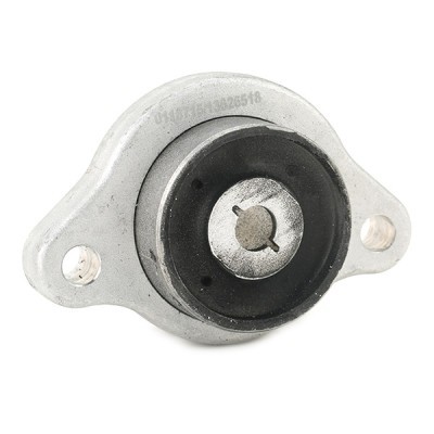 Control Arm Bushing RIDEX 251T0509 251T0509 - photo 3