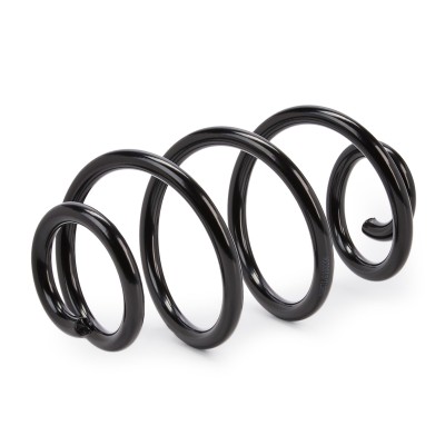 Suspension Spring RIDEX 188C0242 188C0242 - photo 6