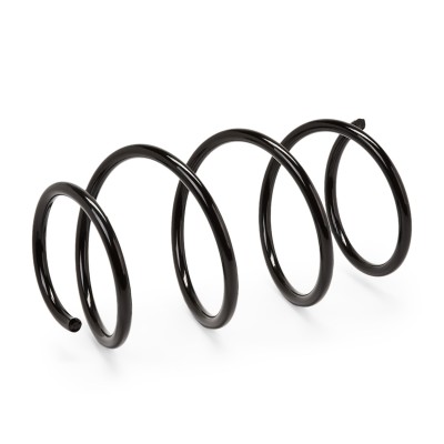 Suspension Spring RIDEX 188C0099 188C0099 - photo 3