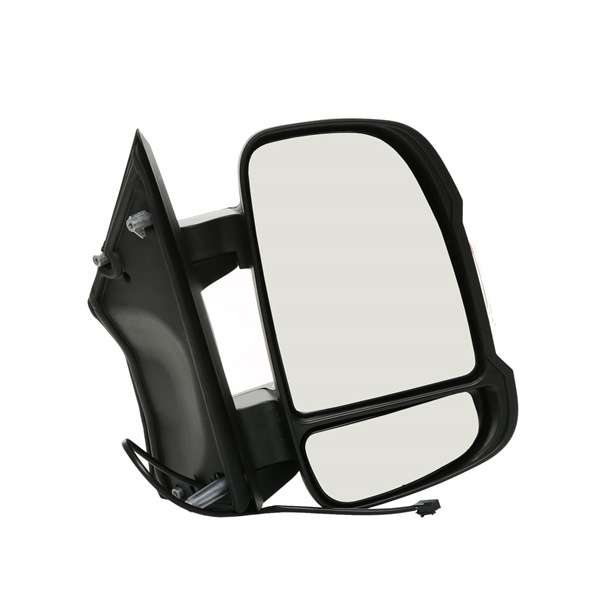 Wing Mirror RIDEX 50O0098 50O0098 - photo 1