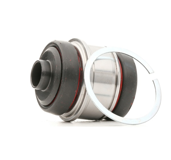 Control Arm Bushing RIDEX 251T0020 251T0020 - photo 1