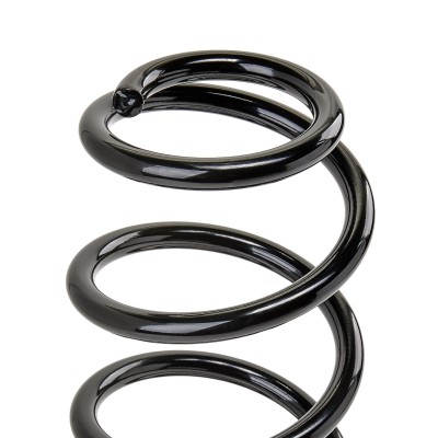 Suspension Spring RIDEX 188C0008 188C0008 - photo 5